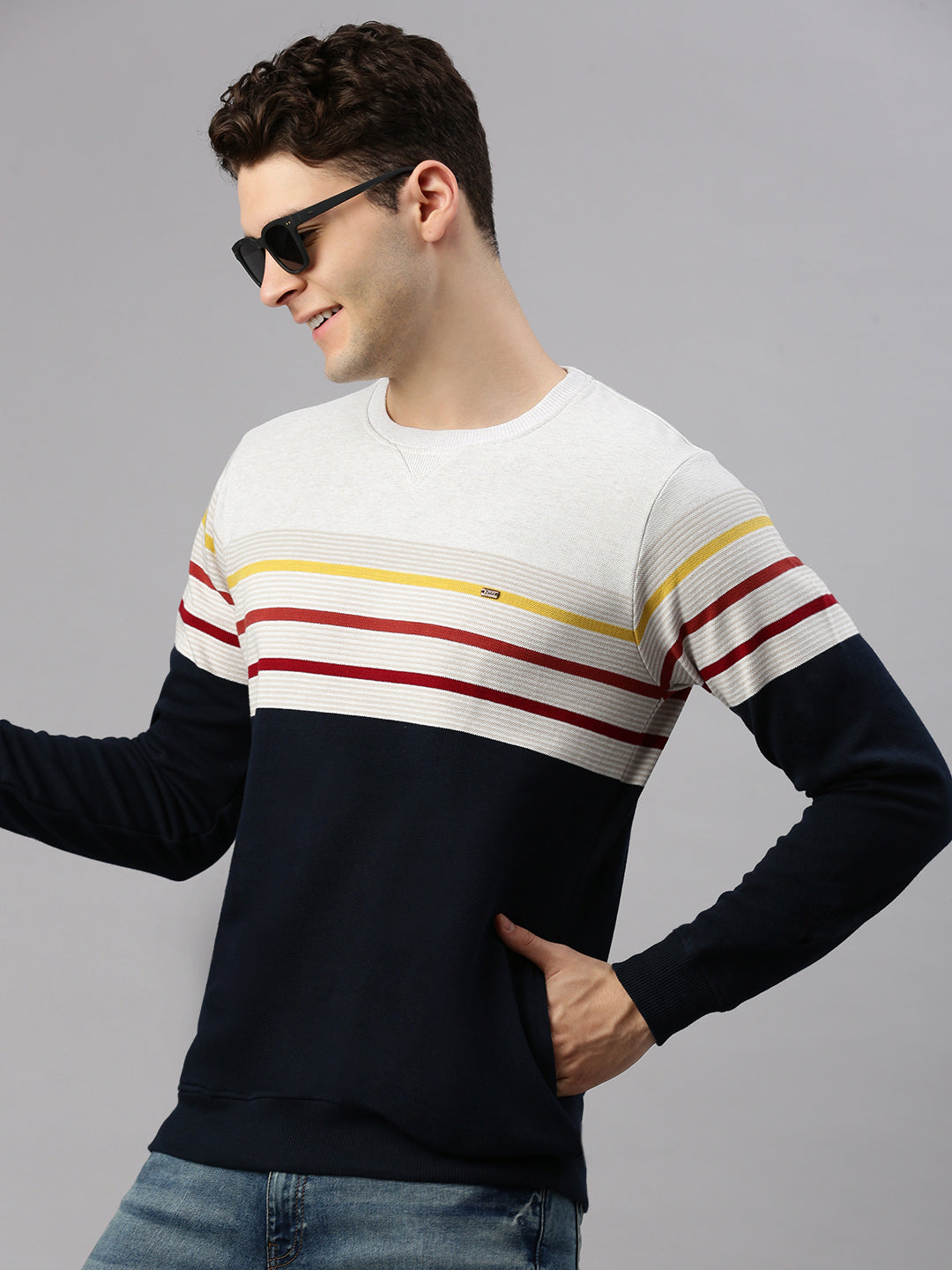 Navy Stripe Sweatshirt