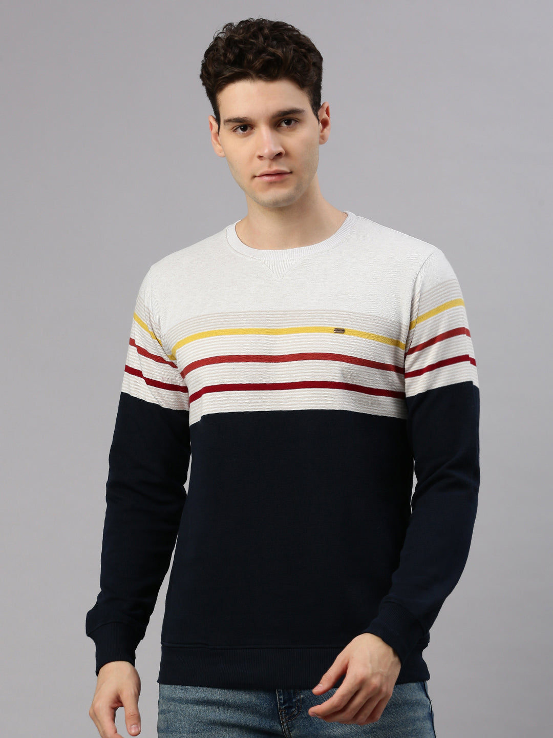 Navy Stripe Sweatshirt