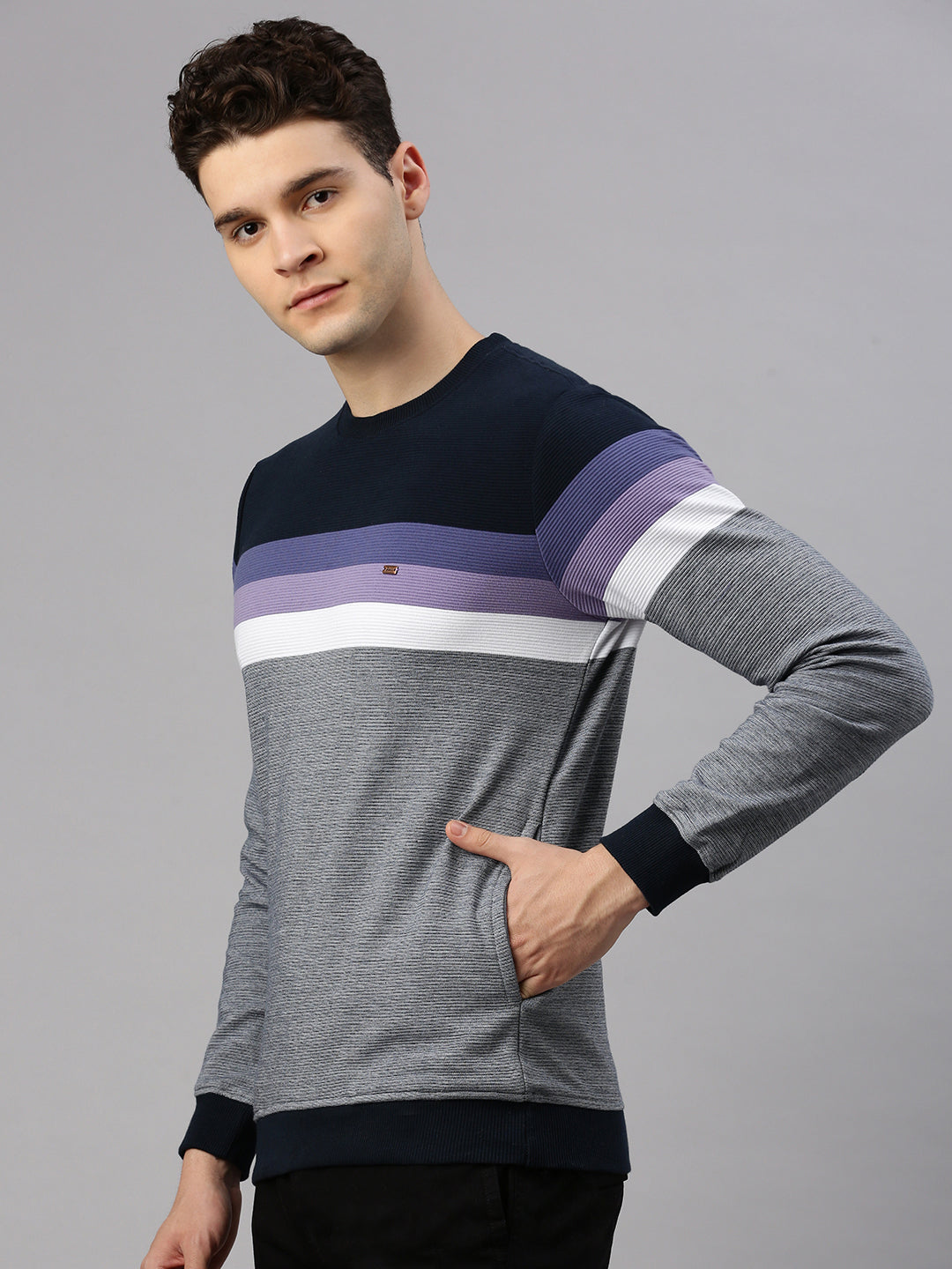 Lilack Stripe Sweatshirt