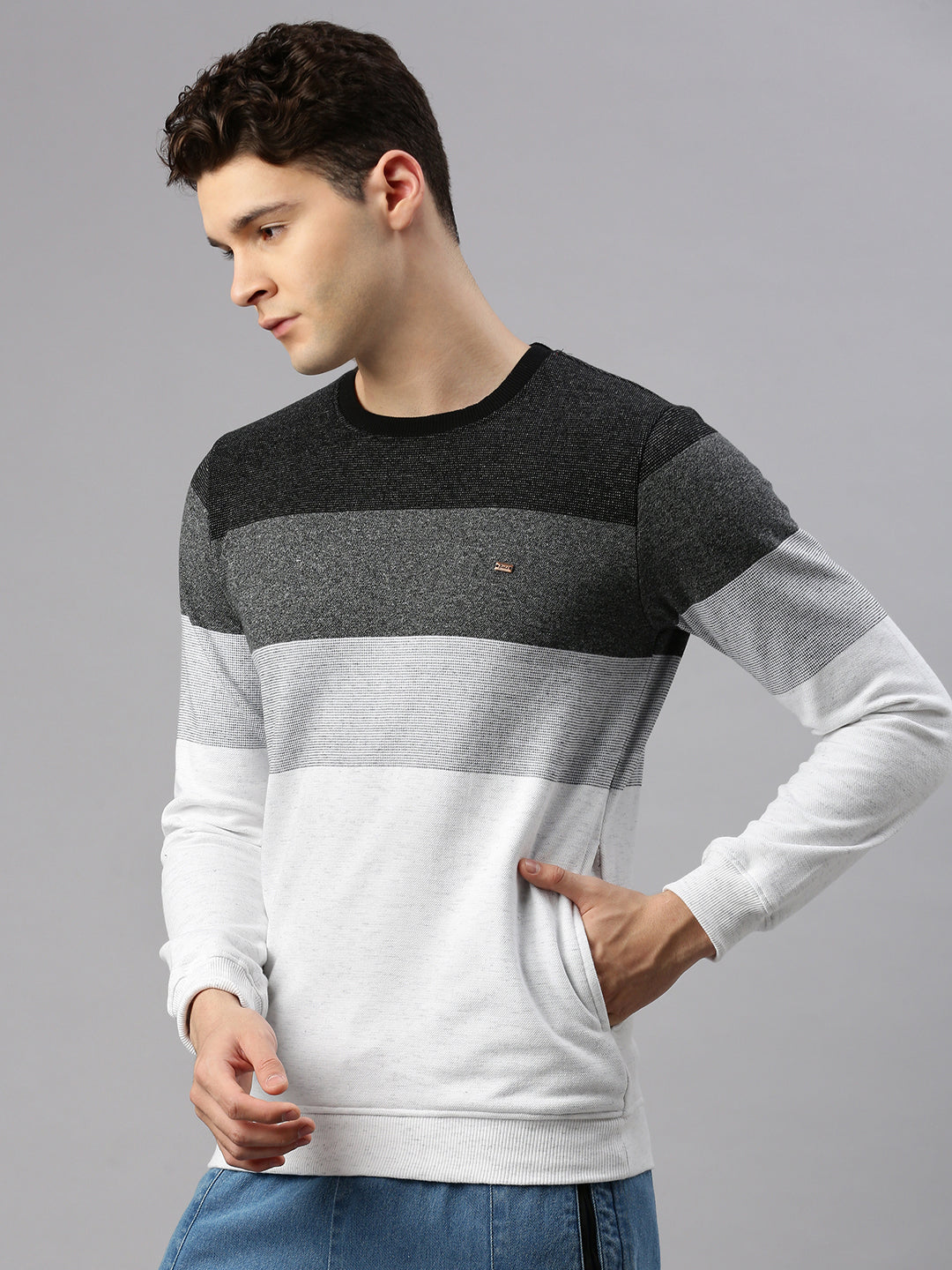 Earthy Stripe Sweatshirt