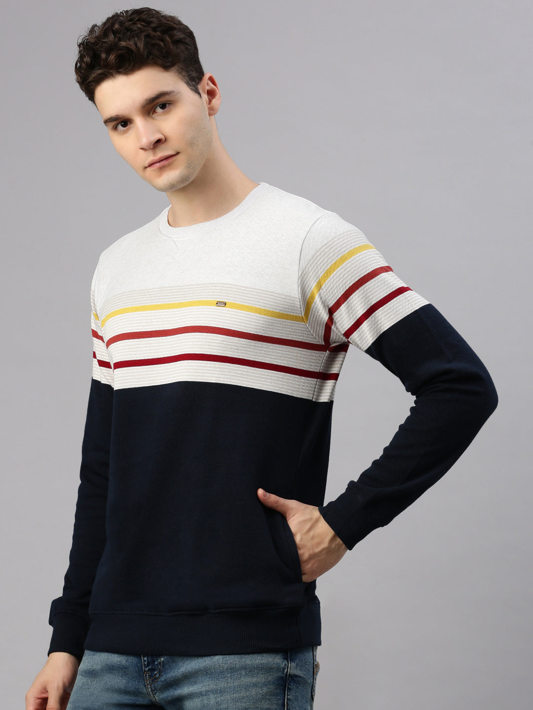 Navy Stripe Sweatshirt