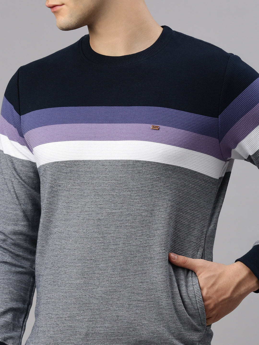 Lilack Stripe Sweatshirt